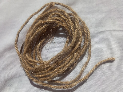 Forage for Cordage - 10/17/2026
